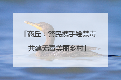 商丘：警民携手绘禁毒 共建无毒美丽乡村