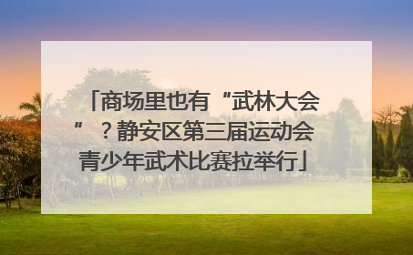 商场里也有“武林大会”？静安区第三届运动会青少年武术比赛拉举行