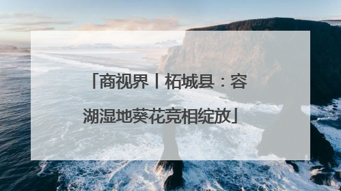商视界丨柘城县：容湖湿地葵花竞相绽放