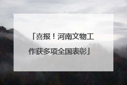 喜报！河南文物工作获多项全国表彰