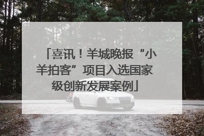 喜讯！羊城晚报“小羊拍客”项目入选国家级创新发展案例