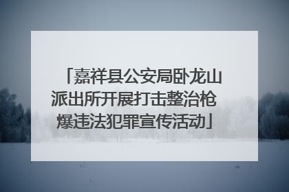 嘉祥县公安局卧龙山派出所开展打击整治枪爆违法犯罪宣传活动
