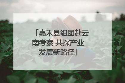 嘉禾县组团赴云南考察 共探产业发展新路径