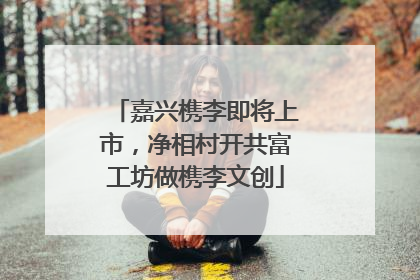 嘉兴槜李即将上市，净相村开共富工坊做槜李文创