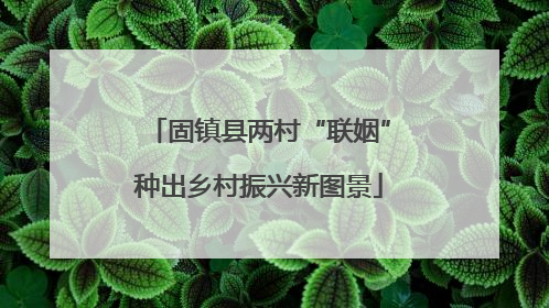 固镇县两村“联姻”种出乡村振兴新图景