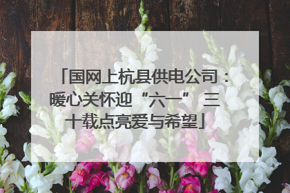 国网上杭县供电公司：暖心关怀迎“六一” 三十载点亮爱与希望