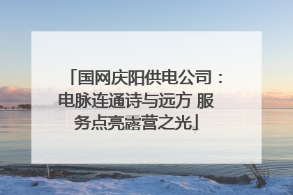 国网庆阳供电公司：电脉连通诗与远方 服务点亮露营之光