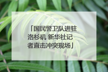 国民警卫队进驻洛杉矶 新华社记者直击冲突现场