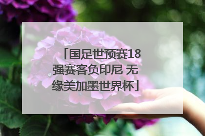 国足世预赛18强赛客负印尼 无缘美加墨世界杯