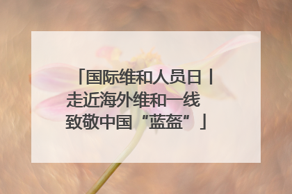 国际维和人员日丨走近海外维和一线 致敬中国“蓝盔”
