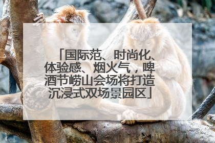 国际范、时尚化、体验感、烟火气，啤酒节崂山会场将打造沉浸式双场景园区
