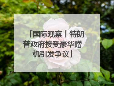 国际观察丨特朗普政府接受豪华赠机引发争议