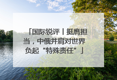 国际锐评丨挺膺担当，中俄并肩对世界负起“特殊责任”