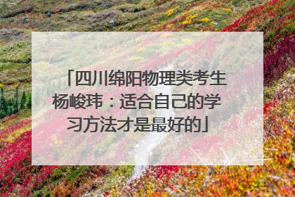 四川绵阳物理类考生杨峻玮：适合自己的学习方法才是最好的