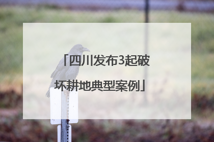 四川发布3起破坏耕地典型案例