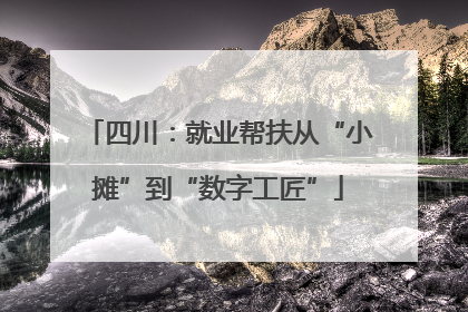四川：就业帮扶从“小摊”到“数字工匠”