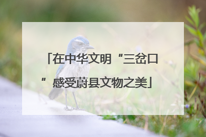 在中华文明“三岔口”感受蔚县文物之美