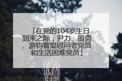 在党的104岁生日到来之际，尹力、殷勇、游钧看望慰问老党员和生活困难党员