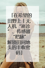 在希望的田野上丨无人机“巡诊”、传感器“把脉” 解锁田间地头的丰收密码