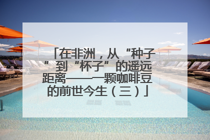 在非洲，从“种子”到“杯子”的遥远距离——一颗咖啡豆的前世今生（三）