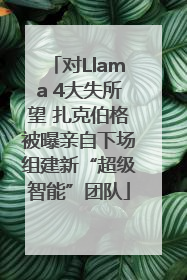 对Llama 4大失所望 扎克伯格被曝亲自下场组建新“超级智能”团队