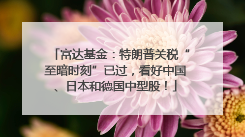 富达基金：特朗普关税“至暗时刻”已过，看好中国、日本和德国中型股！