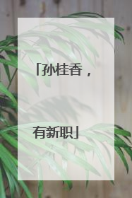 孙桂香，有新职