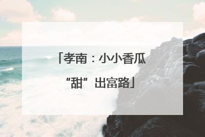 孝南：小小香瓜 “甜”出富路