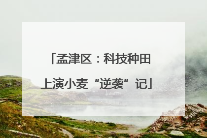 孟津区：科技种田 上演小麦“逆袭”记