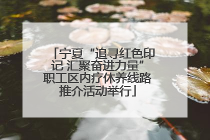 宁夏“追寻红色印记 汇聚奋进力量”职工区内疗休养线路推介活动举行