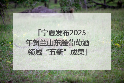 宁夏发布2025年贺兰山东麓葡萄酒领域“五新”成果