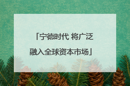 宁德时代 将广泛融入全球资本市场