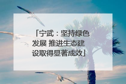 宁武：坚持绿色发展 推进生态建设取得显著成效