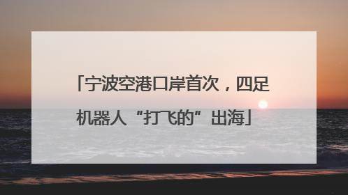 宁波空港口岸首次，四足机器人“打飞的”出海