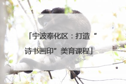 宁波奉化区：打造“诗书画印”美育课程