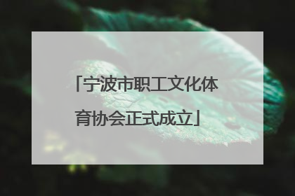 宁波市职工文化体育协会正式成立