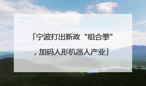 宁波打出新政“组合拳”，加码人形机器人产业