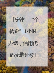 宁津：“个转企”1小时办结，信用代码无缝延续