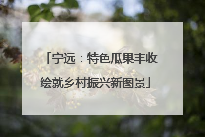 宁远：特色瓜果丰收绘就乡村振兴新图景