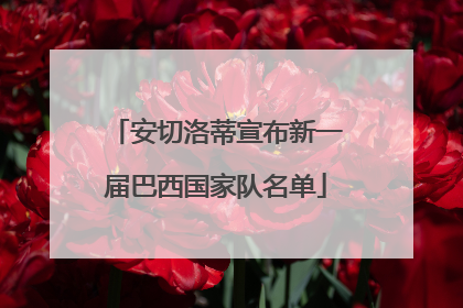 安切洛蒂宣布新一届巴西国家队名单