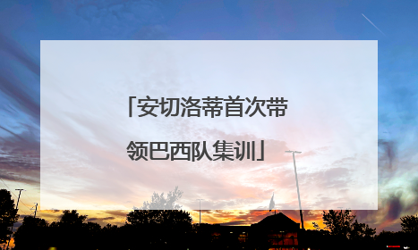 安切洛蒂首次带领巴西队集训