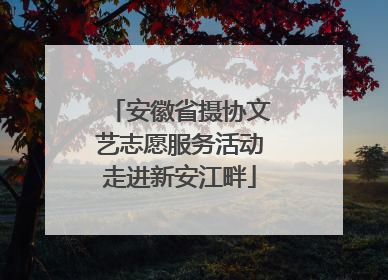 安徽省摄协文艺志愿服务活动走进新安江畔