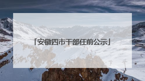 安徽四市干部任前公示