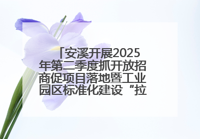 安溪开展2025年第二季度抓开放招商促项目落地暨工业园区标准化建设“拉练”活动