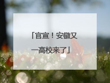 官宣！安徽又一高校来了