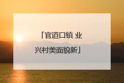 官道口镇 业兴村美面貌新