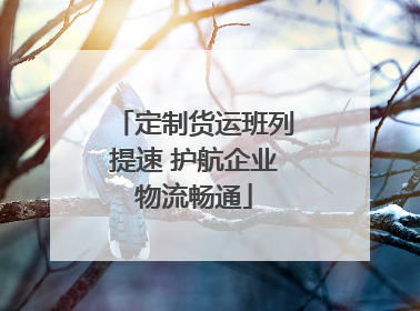 定制货运班列提速 护航企业物流畅通