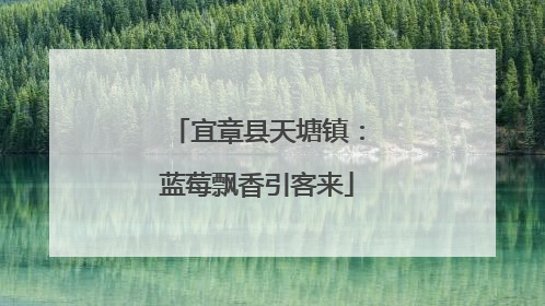 宜章县天塘镇：蓝莓飘香引客来