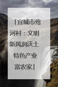宜城市莺河村：文明新风润沃土 特色产业富农家