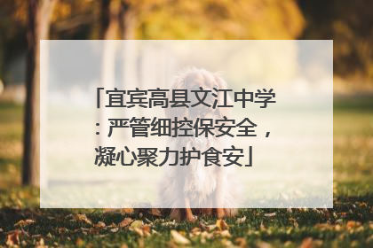 宜宾高县文江中学：严管细控保安全，凝心聚力护食安